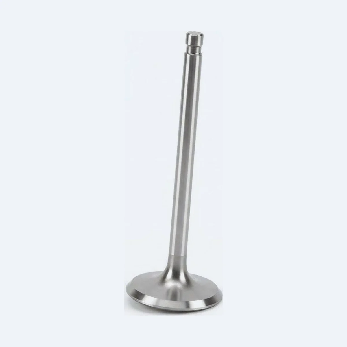 Intake (Inlet) Valve
