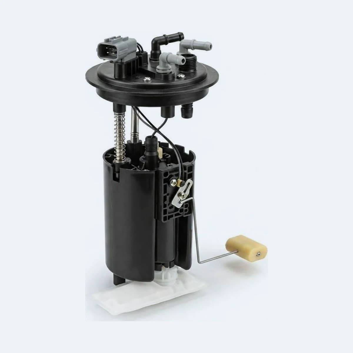 Fuel Pump Module
